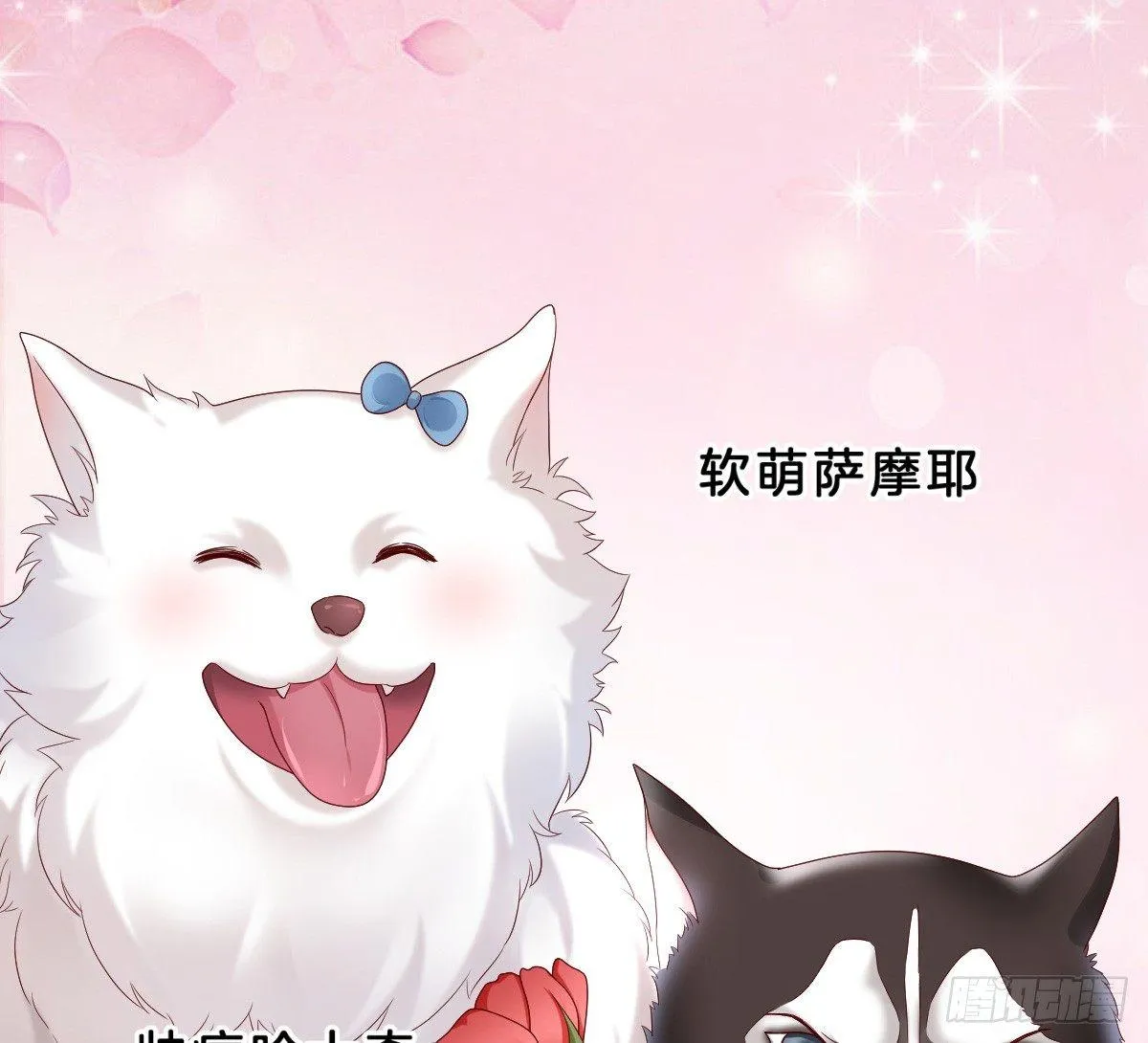 小姐姐帮我穿衣服 第63页