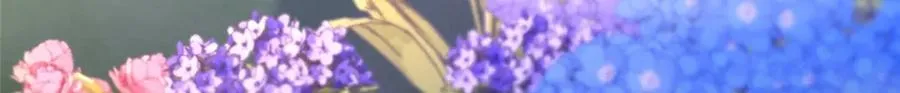 03 神通碎片 第15页