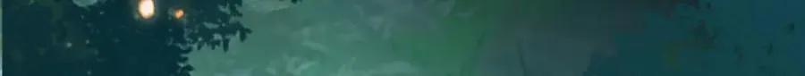 05 可惜我不行了 第12页