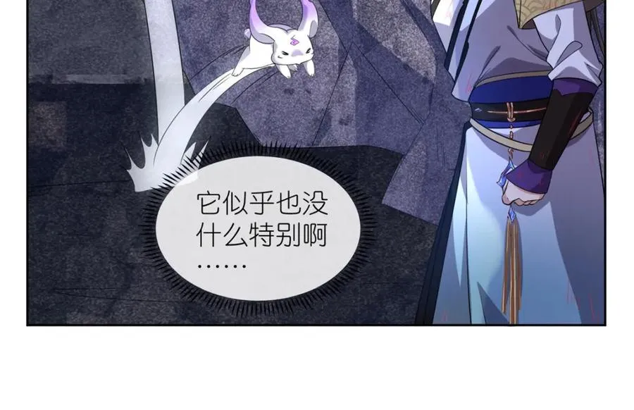 11 灵兽魔兔 第8页