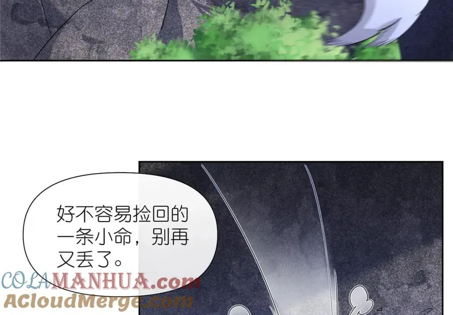11 灵兽魔兔 第22页