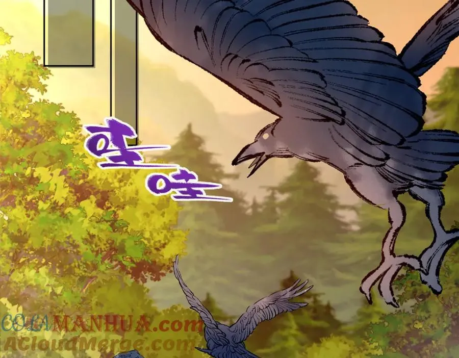 11 灵兽魔兔 第34页