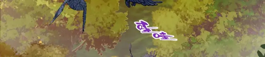 11 灵兽魔兔 第35页