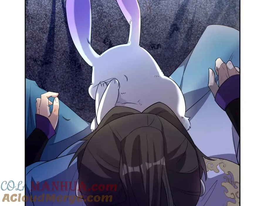 11 灵兽魔兔 第61页