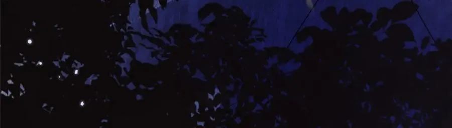 31 魔界再临 第66页