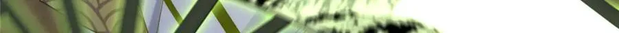 35 锁灵爪 第21页