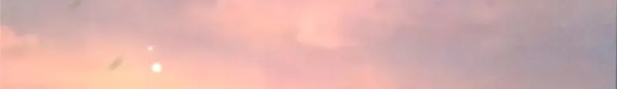 53 顿悟 第24页