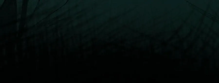 第45章 新的心脏 第46页