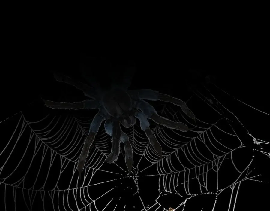第53话 鸟嘴人 第79页