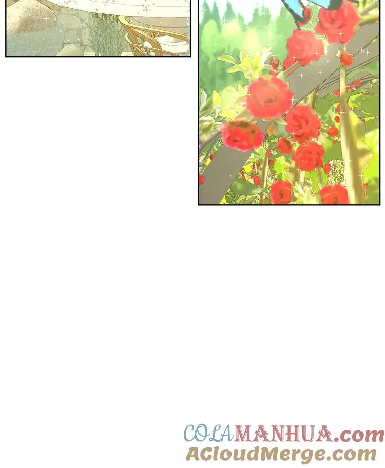 17.玻璃庭院 第105页