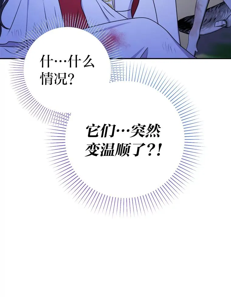56.古时的魔法师 第51页
