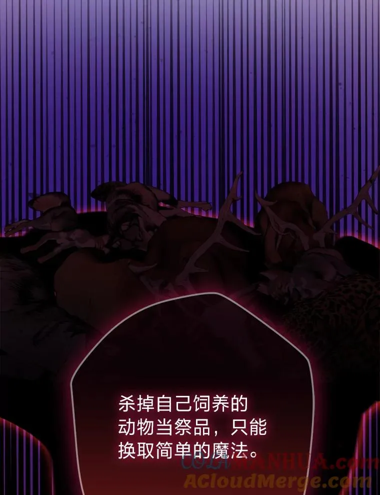 56.古时的魔法师 第97页