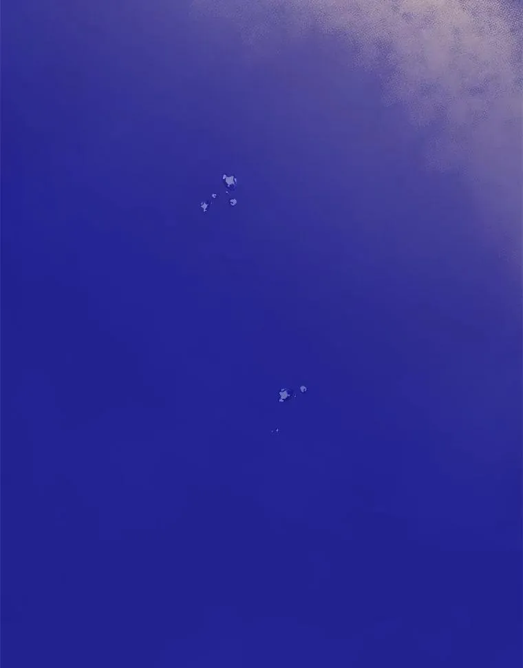 60.祭献无数次 第132页