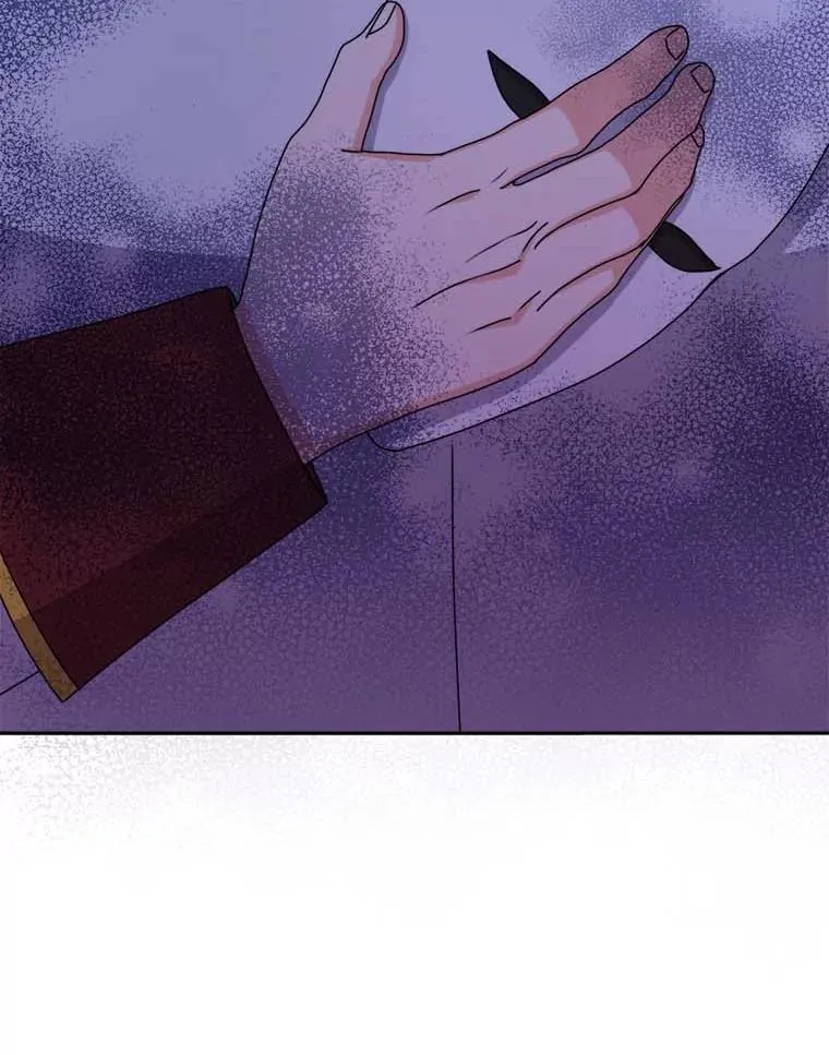 78.护卫骑士 第60页