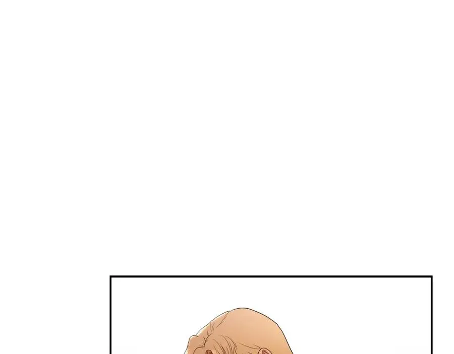 第5话 角斗场新星 第40页