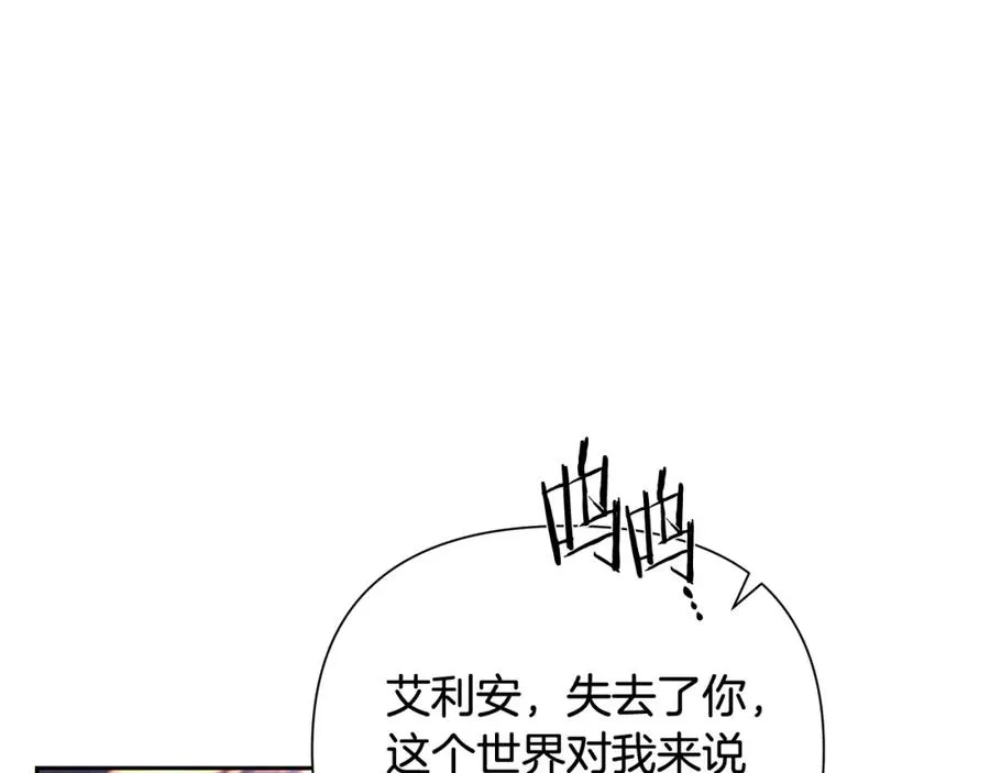 第14话 银狮参战 第3页