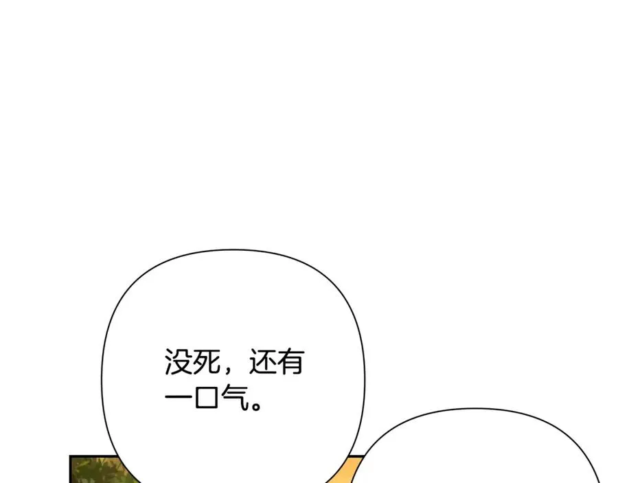 第35话 狩猎即将开始 第163页