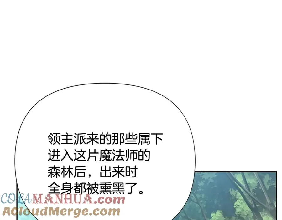 第42话 真的有魔法师 第45页