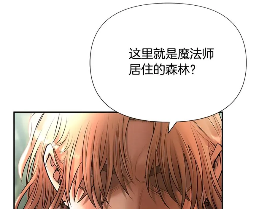 第42话 真的有魔法师 第86页