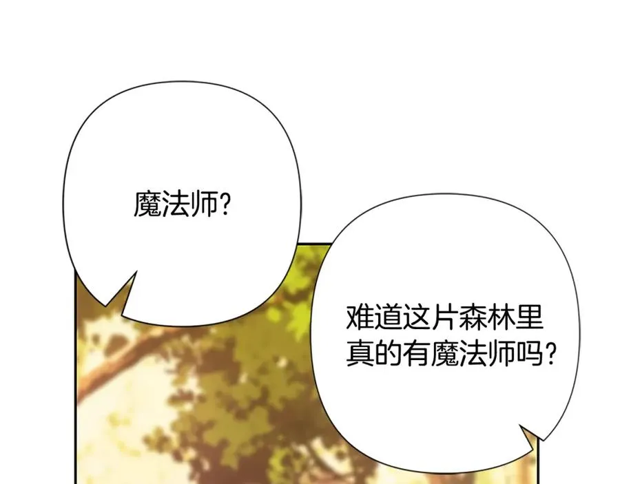 第42话 真的有魔法师 第179页