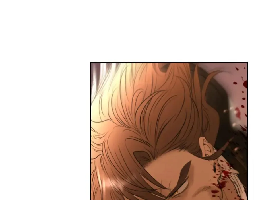 第69话 衰老的战士 第14页
