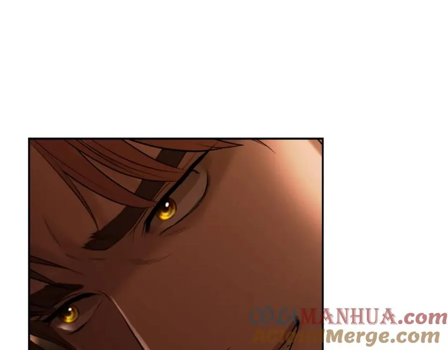 第69话 衰老的战士 第41页