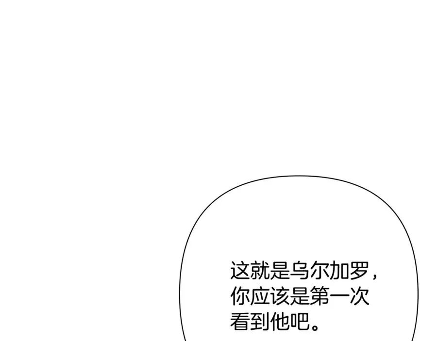 第96话 朝圣之路 第243页