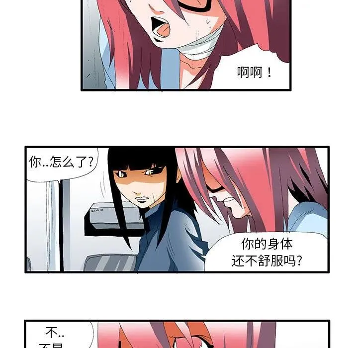 43 第41页
