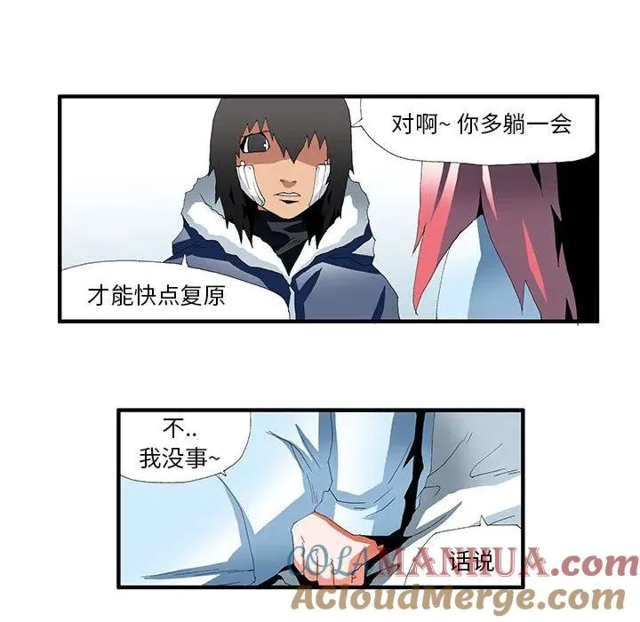 43 第43页