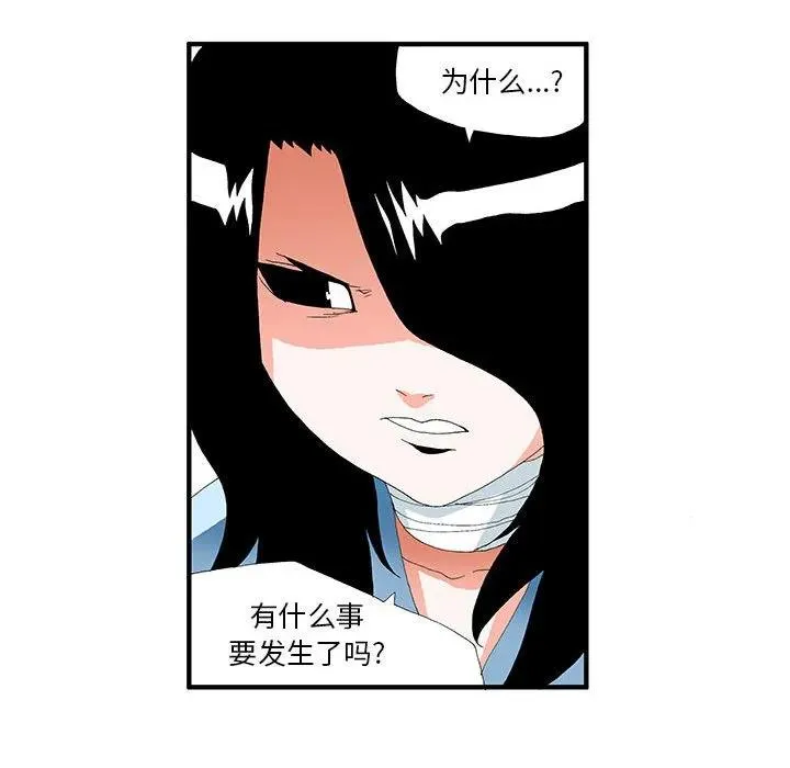 43 第45页