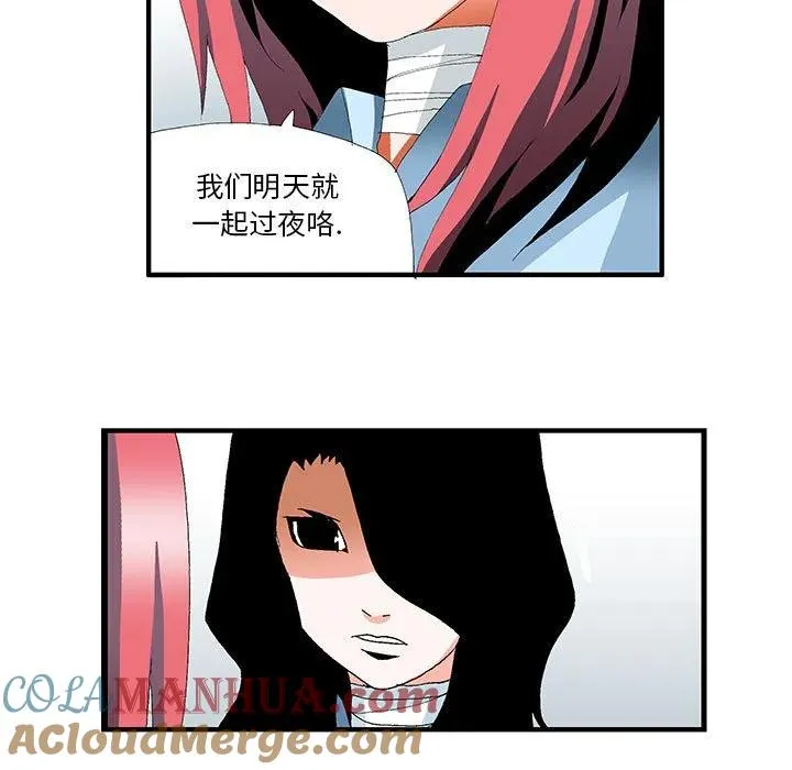 43 第49页