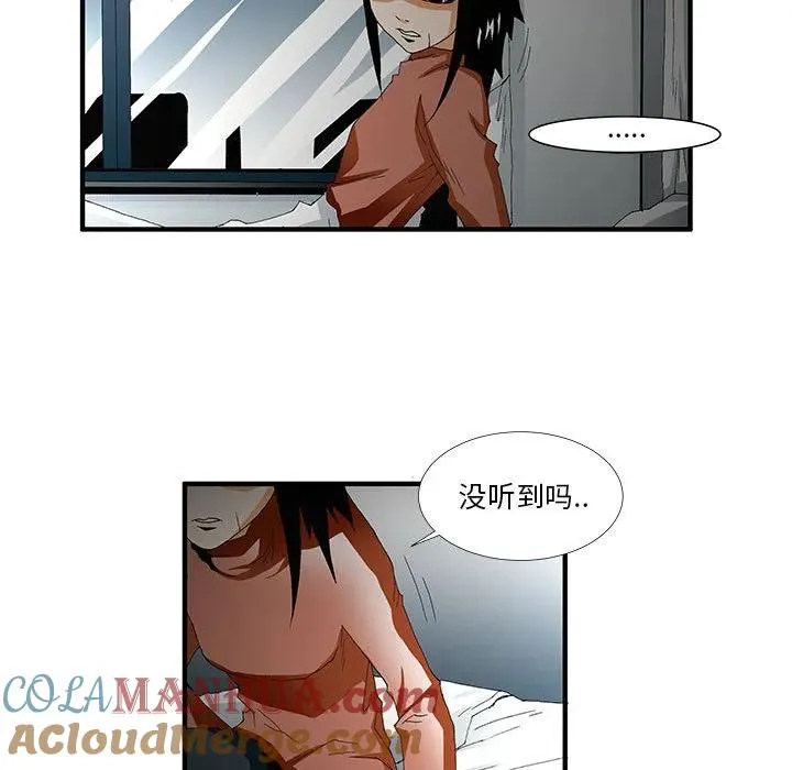 46 第13页