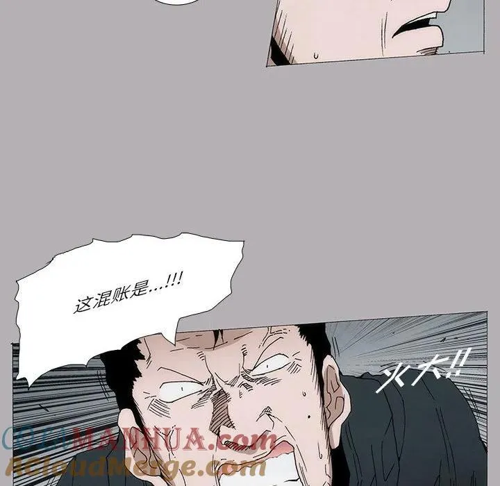 8 第37页