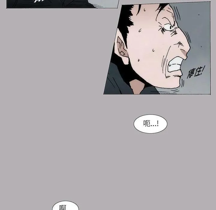 8 第48页