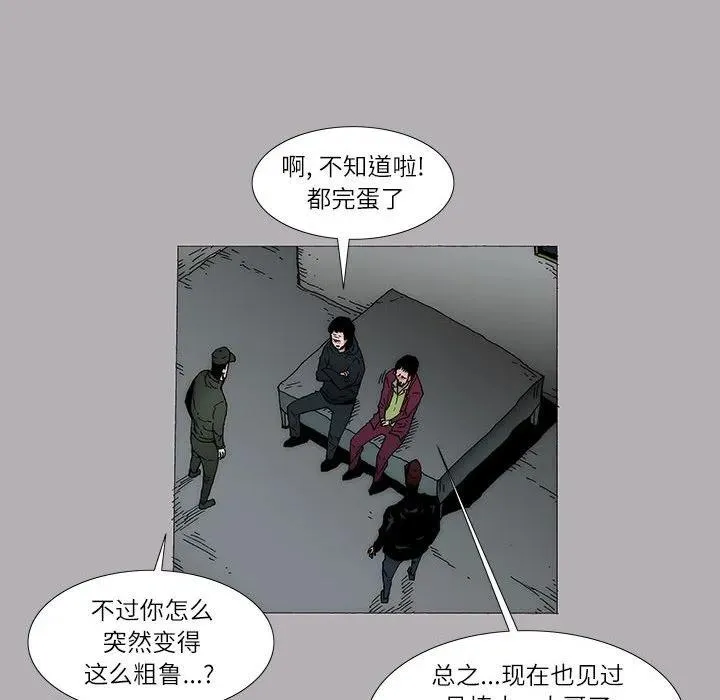 12 第41页