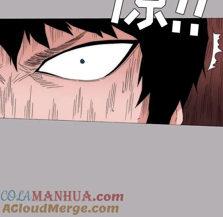 15 第13页
