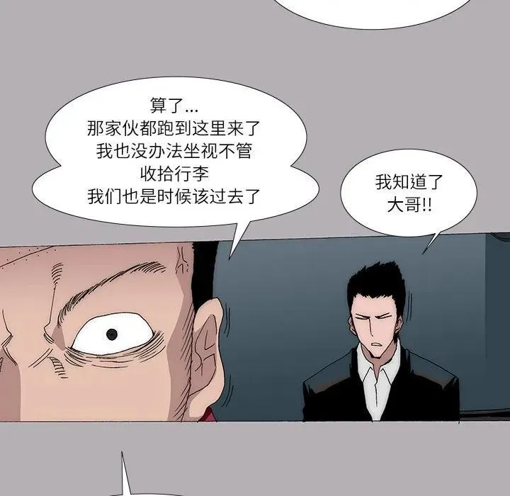 15 第48页