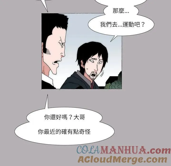 17 第43页