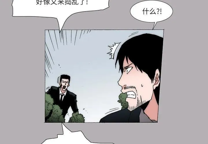 19 第3页
