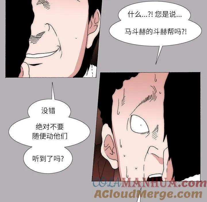 19 第43页