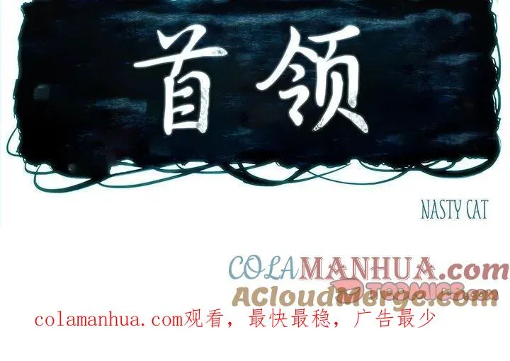 20 第43页