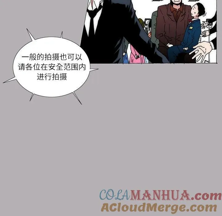25 第31页