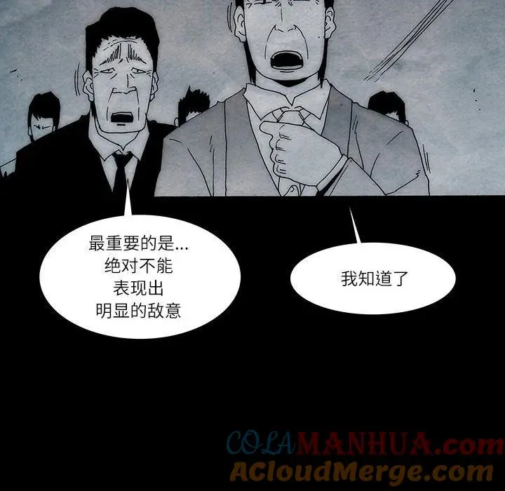 26 第55页