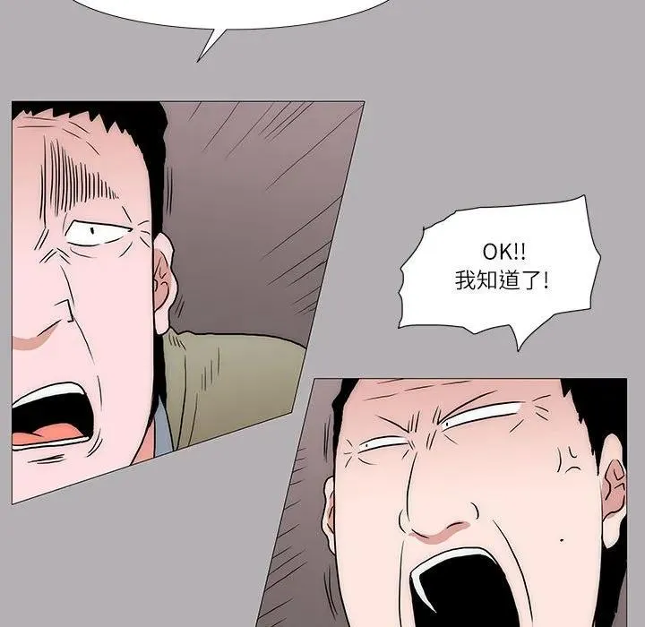 31 第41页