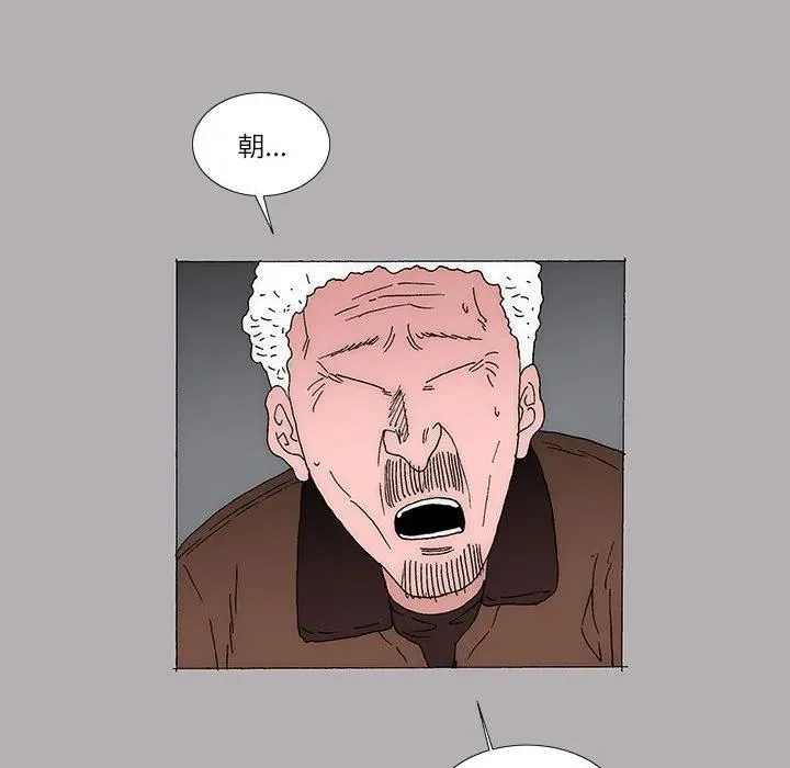 41 第6页