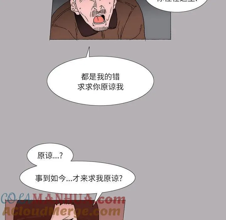 41 第13页