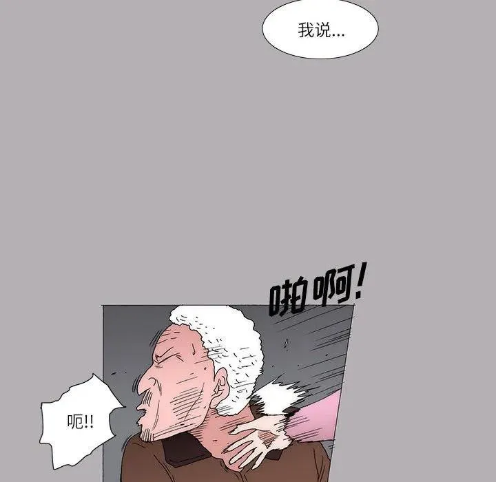 41 第15页