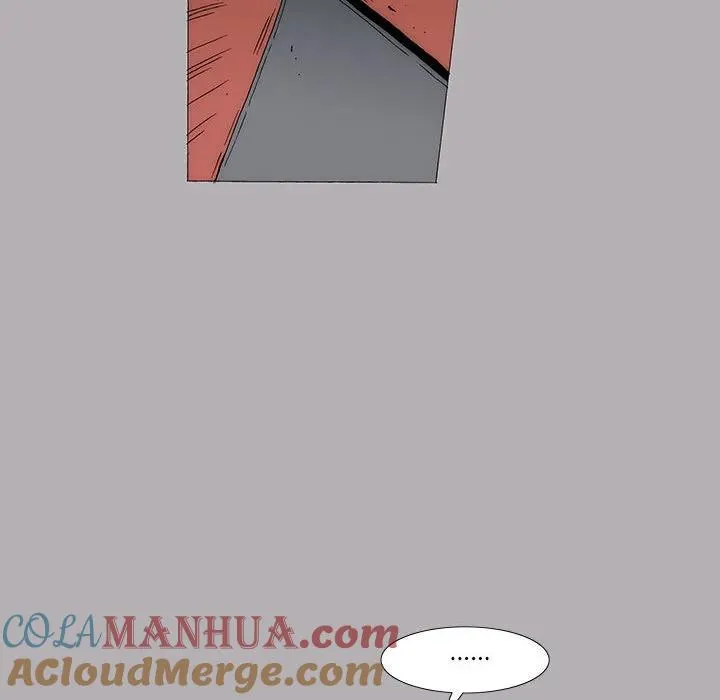 41 第22页