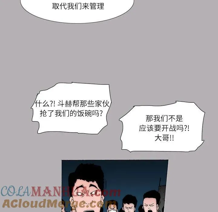 41 第31页