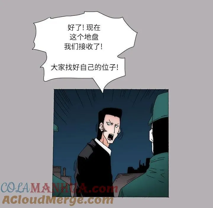 41 第43页